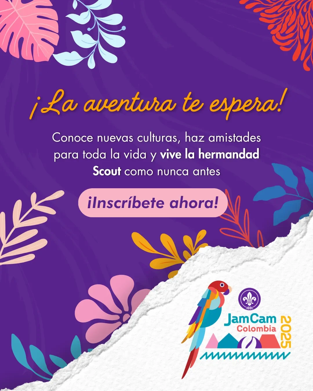 Banner Jamcam - Scouts Colombia